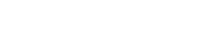 What is the ROBOLUTION COMPANY ?